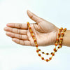 5 Mukhi Rudraksha Mala & Bracelet Combo – Divine Protection & Positive Energy
